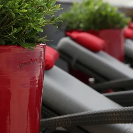 Regina Experimental 5* Μπιαρίτζ