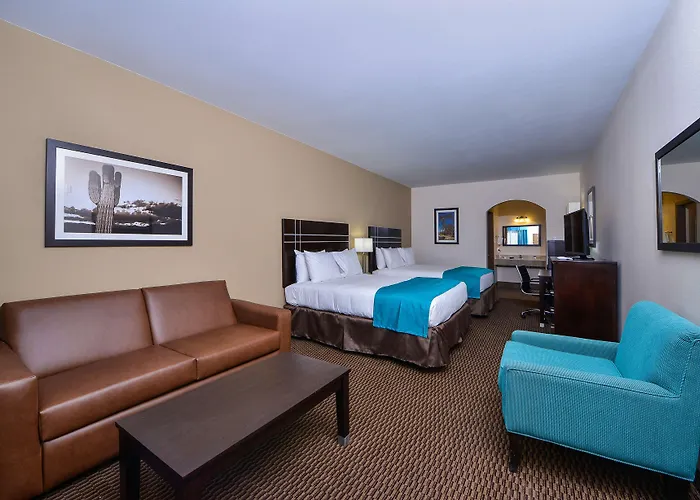 Regina Experimental 比亚里茨